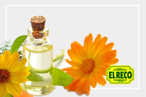 El Recó, tiendas llenas de vida